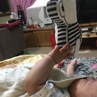 寶寶認知學習音樂鈴