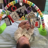 寶寶認知學習布卡